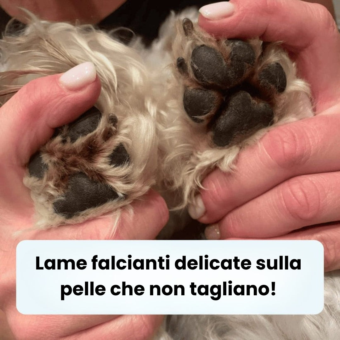 Taglia zampe cane