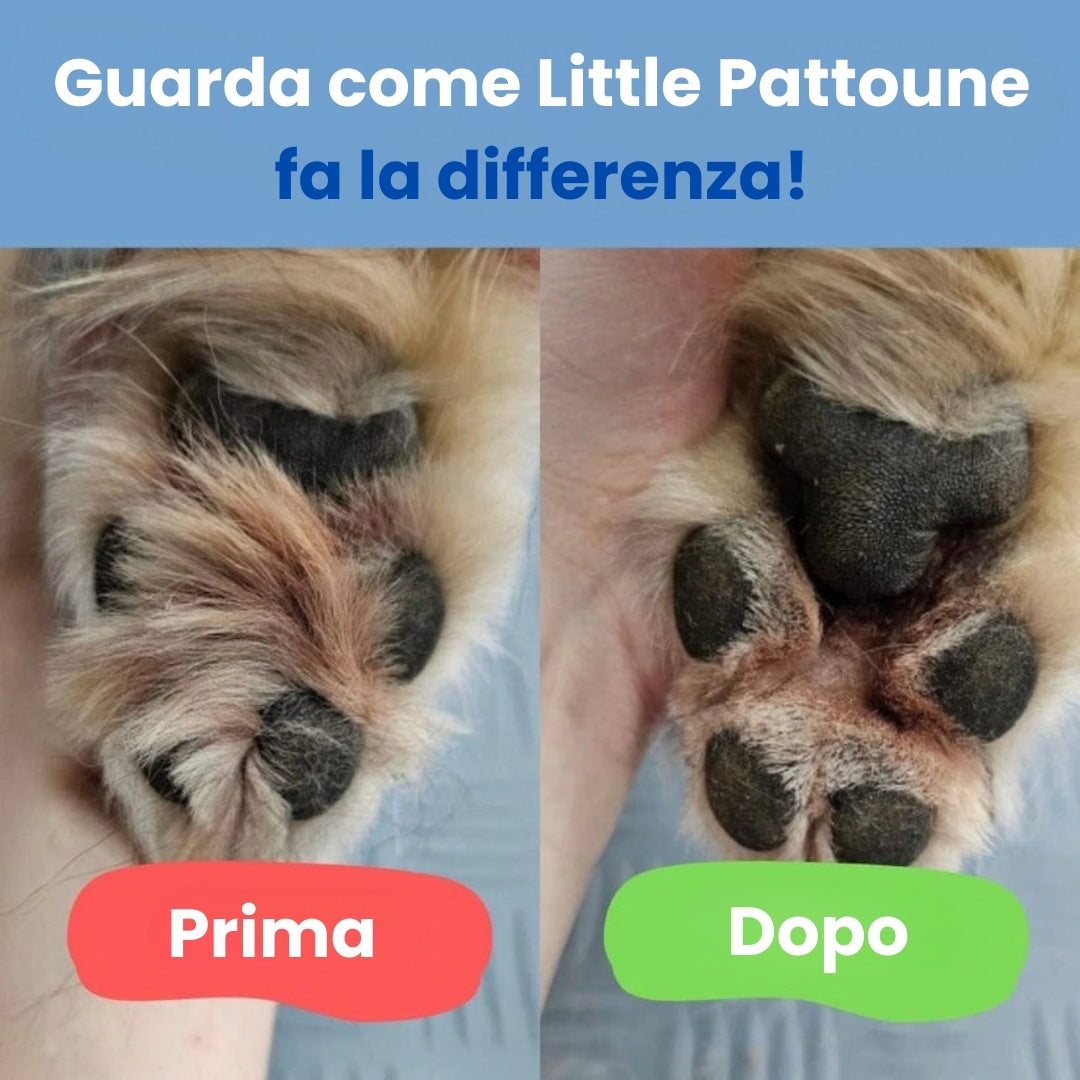 Taglia zampe cane
