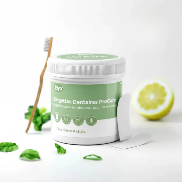 Salviette dentali ProCare