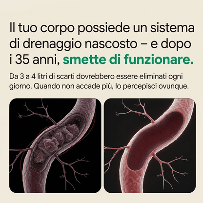 PALAMOT™ Capsule per il Drenaggio Linfatico · Trasformazione Completa in 60 Giorni