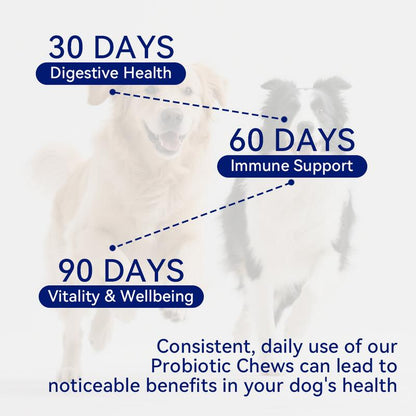 Supporto Immunitario Cane Multivitaminico 8-in-1 con Probiotici