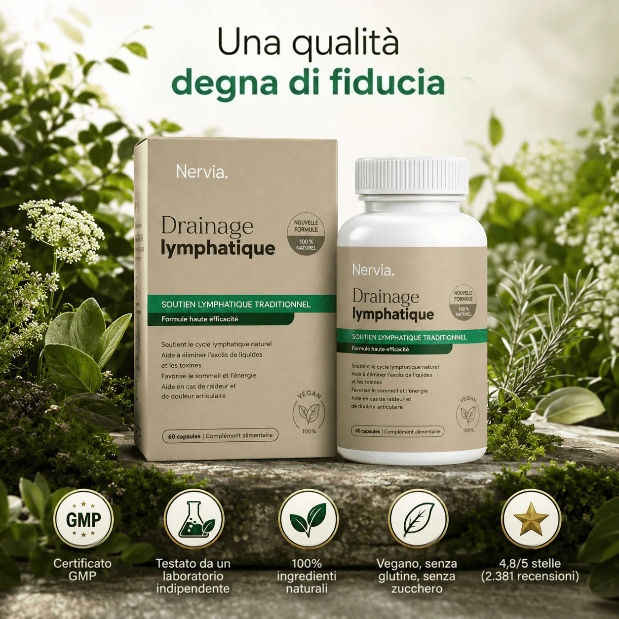PALAMOT™ Capsule per il Drenaggio Linfatico · Trasformazione Completa in 60 Giorni