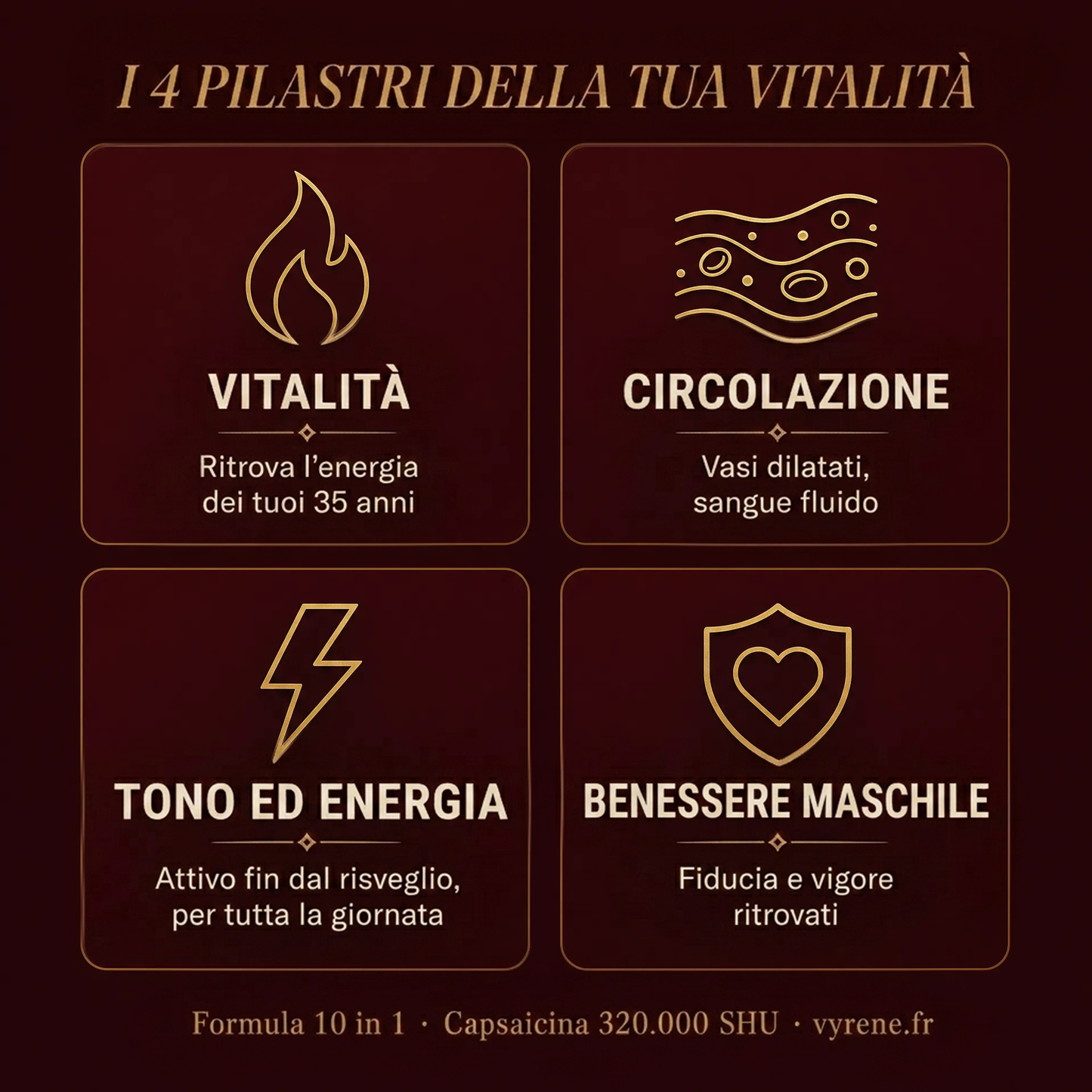 VASOFLUX — Vitalità & Circolazione