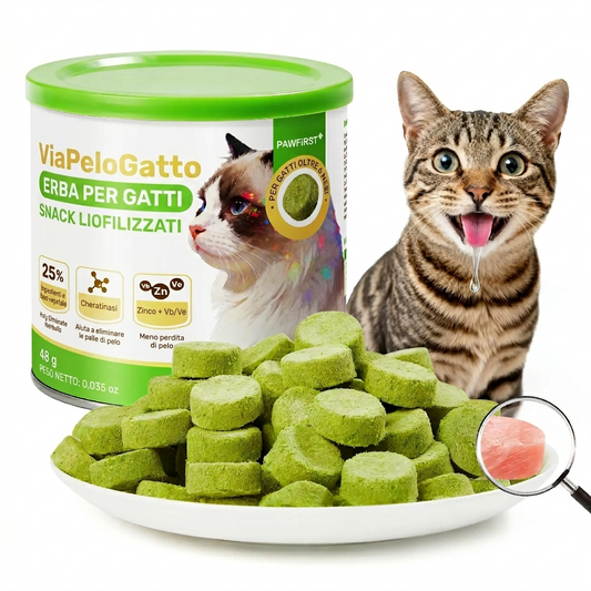 Controllo Palline di Pelo Snack per Gatti con Erba d'Orzo