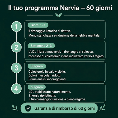 PALAMOT™ Capsule per il Drenaggio Linfatico · Trasformazione Completa in 60 Giorni
