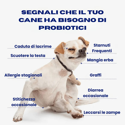 Probiotico per cani