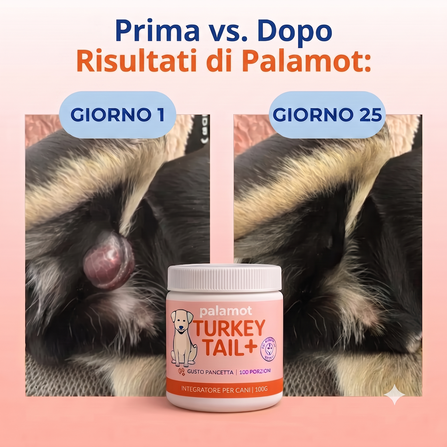 Numero 1 nella categoria dei probiotici