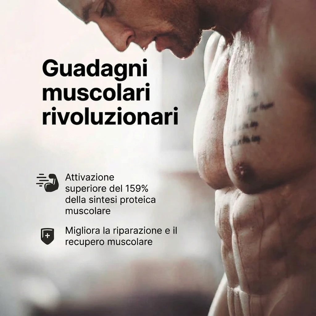 Dileucina, peptide muscolare 185 - 84 capsule