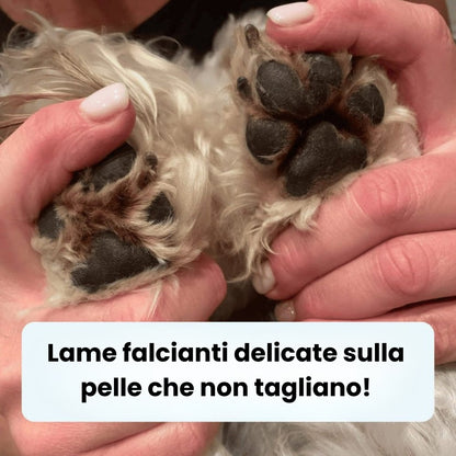 Taglia zampe cane