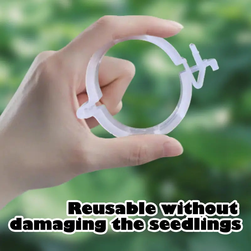 Supporto per Piante con Clip in Plastica Resistenti 3cm