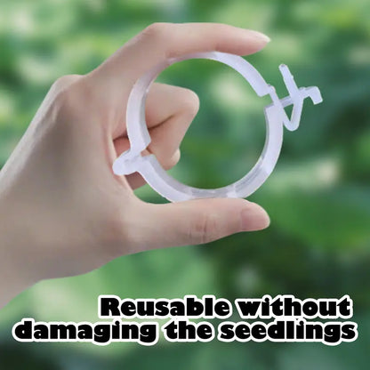 Supporto per Piante con Clip in Plastica Resistenti 3cm