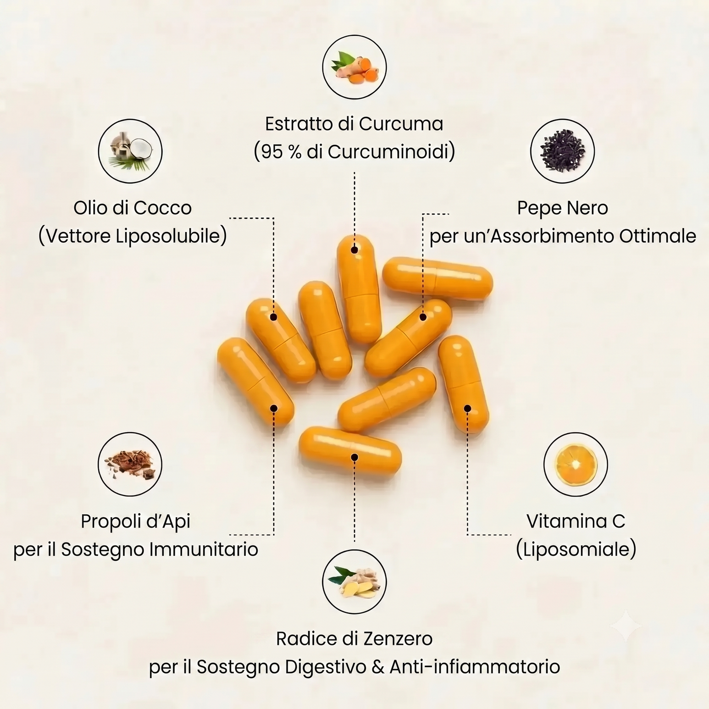 Capsule di curcuma al 95% di curcumina