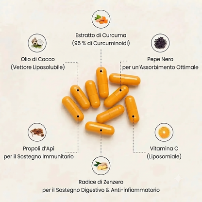 Capsule di curcuma al 95% di curcumina