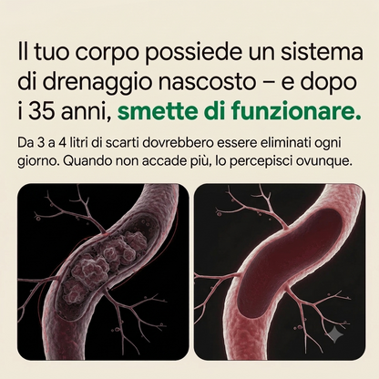 PALAMOT™ Capsule per il Drenaggio Linfatico · Trasformazione Completa in 60 Giorni