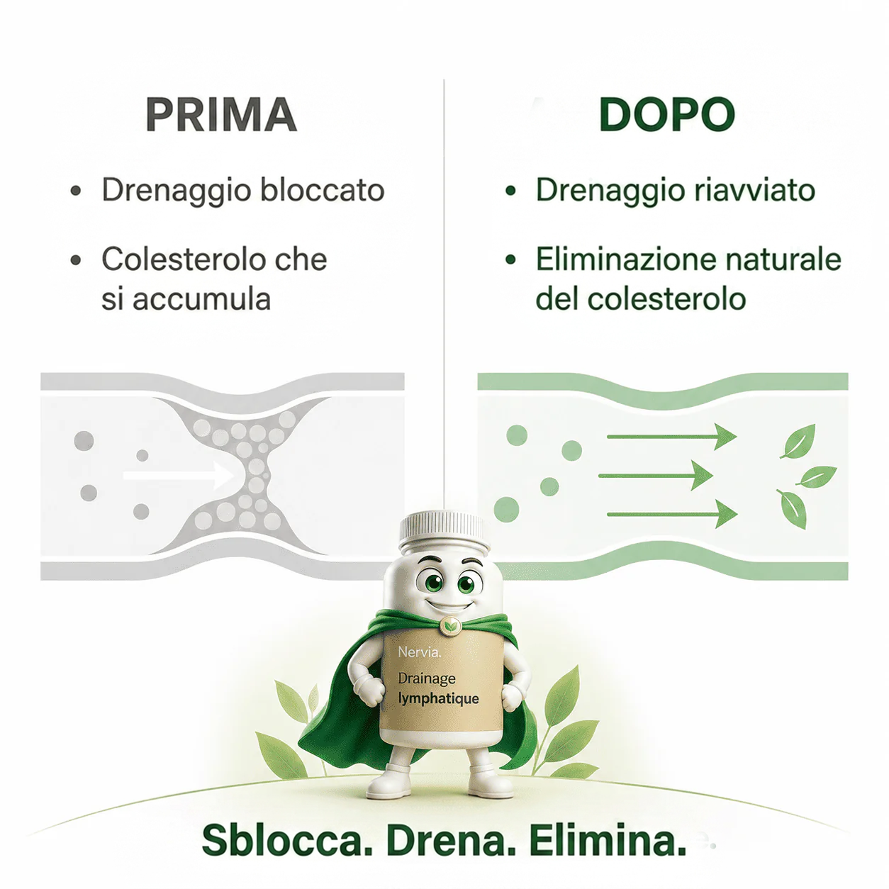 PALAMOT™ Capsule per il Drenaggio Linfatico · Trasformazione Completa in 60 Giorni