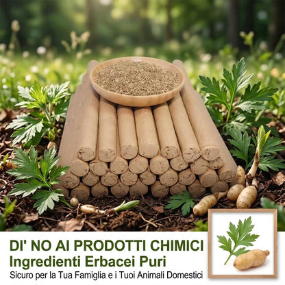 Aromaterapia Calmante Incenso Mugwort Lenta Combustione