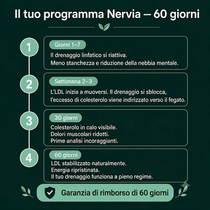 PALAMOT™ Capsule per il Drenaggio Linfatico · Trasformazione Completa in 60 Giorni