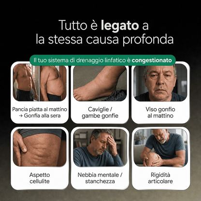 PALAMOT™ Capsule per il Drenaggio Linfatico · Trasformazione Completa in 60 Giorni