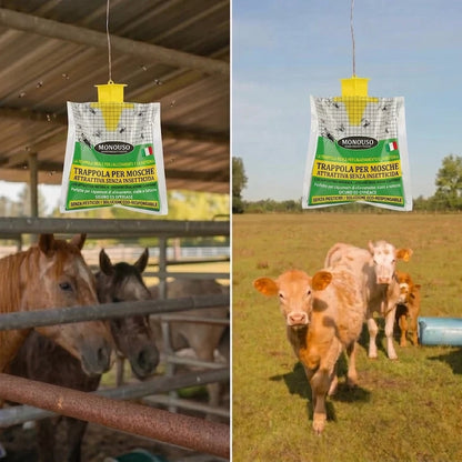 Elimina le mosche senza sforzo – Trappola per mosche Palamot™