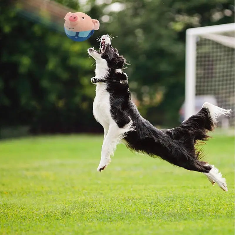 Piggy Toy - Gioco interattivo per animali domestici (Promozione: Giocattolo + eBook gratuito)