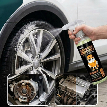 Pulizia Rapida Multiuso Spray per Auto e Casa 300ml