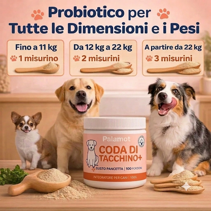 Numero 1 nella categoria dei probiotici