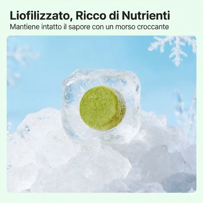 Controllo Palline di Pelo Snack per Gatti con Erba d'Orzo