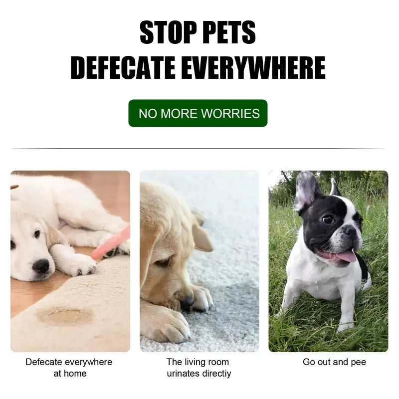 Facilita Addestramento Toilette Sistema Completo per Cani e Gatti