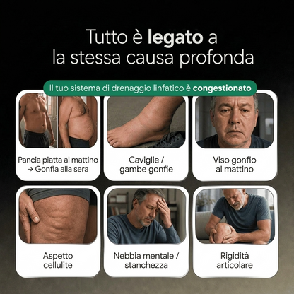 PALAMOT™ Capsule per il Drenaggio Linfatico · Trasformazione Completa in 60 Giorni