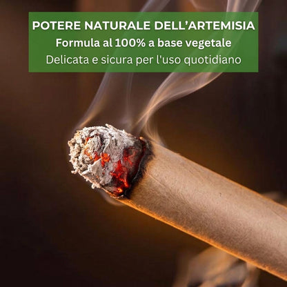 Aromaterapia Calmante Incenso Mugwort Lenta Combustione
