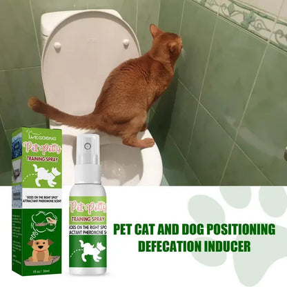 Facilita Addestramento Toilette Sistema Completo per Cani e Gatti