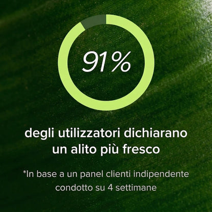 Palamot - Neutralizza l'alito cattivo alla fonte