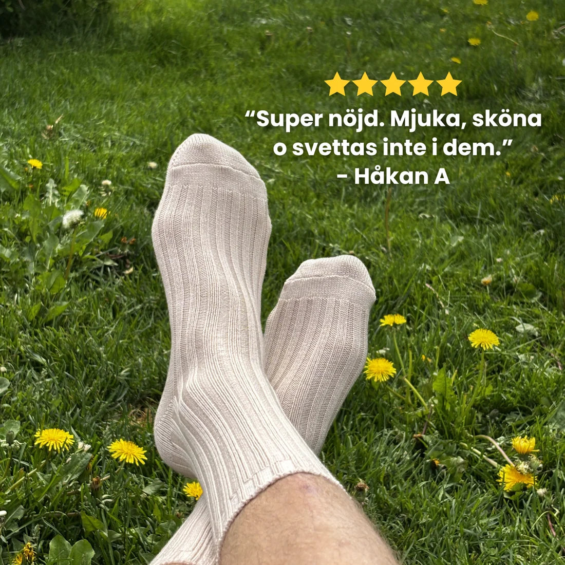 Alpacka Premium