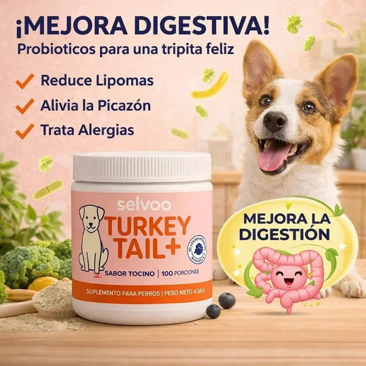 Numero 1 nei probiotici