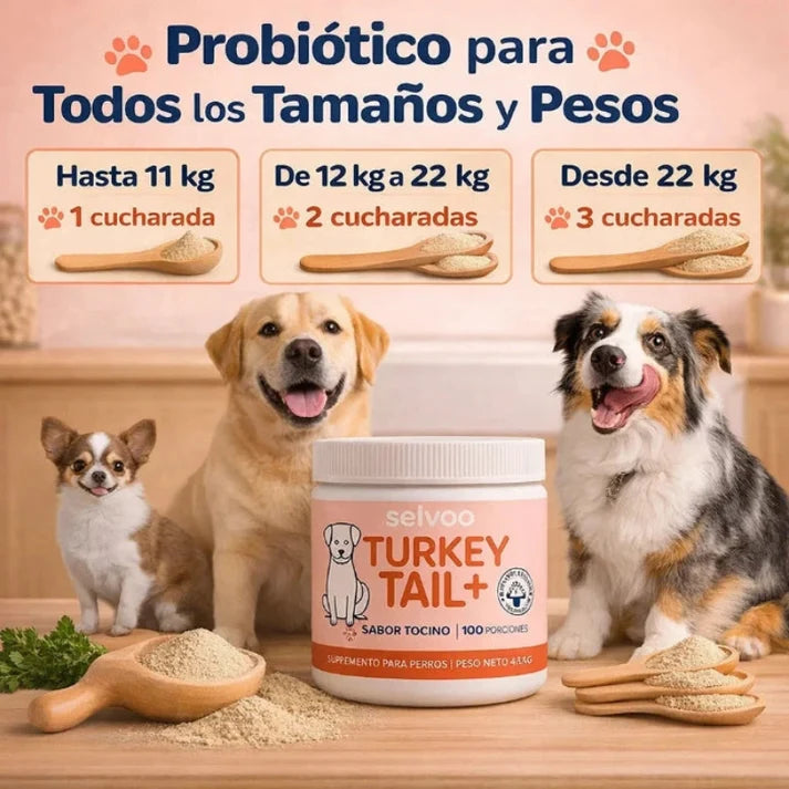 Numero 1 nei probiotici