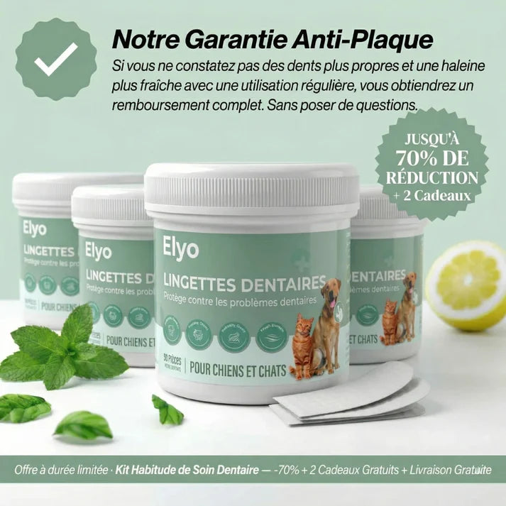 Salviette dentali ProCare