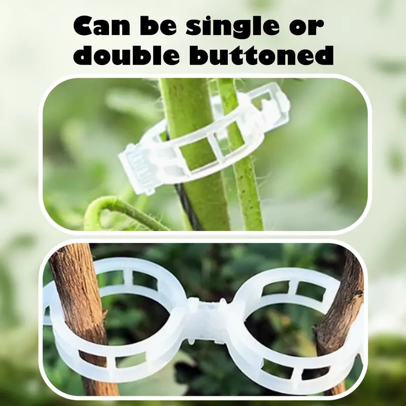 Supporto per Piante con Clip in Plastica Resistenti 3cm