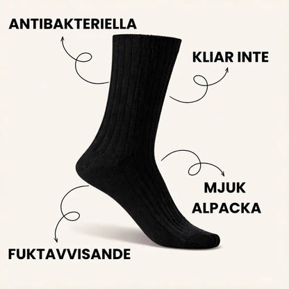 Alpacka Premium
