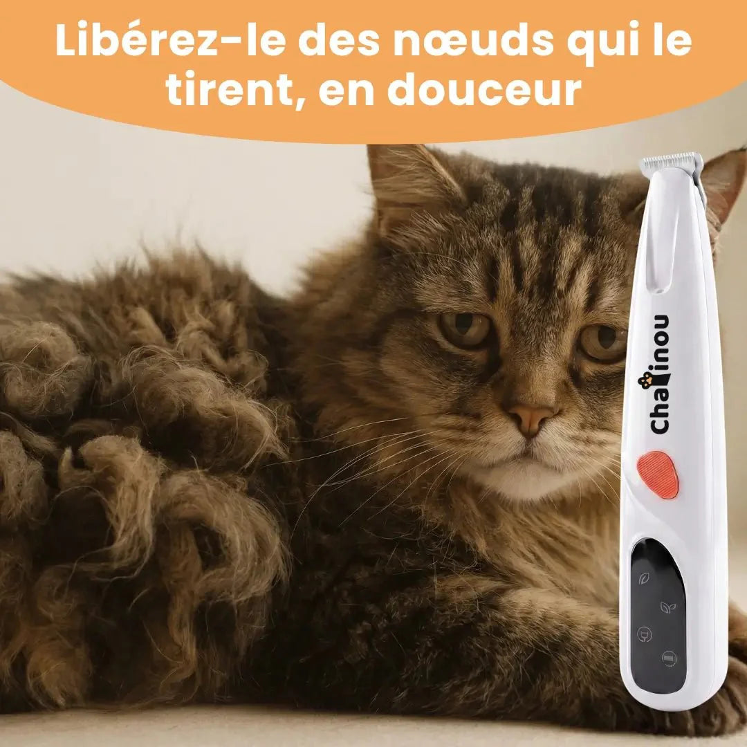 Palamot™ - Tosatrice di precisione per gatti