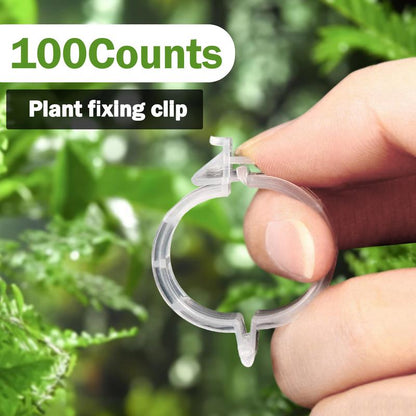 Supporto per Piante con Clip in Plastica Resistenti 3cm