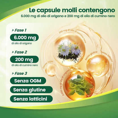 VivoNu Olio di origano 300 capsule con olio di semi neri | Antiossidanti naturali per il benessere fisico | Supporto nutrizionale | Integratore alimentare commestibile a base di sostanze vegetali altamente efficaci
