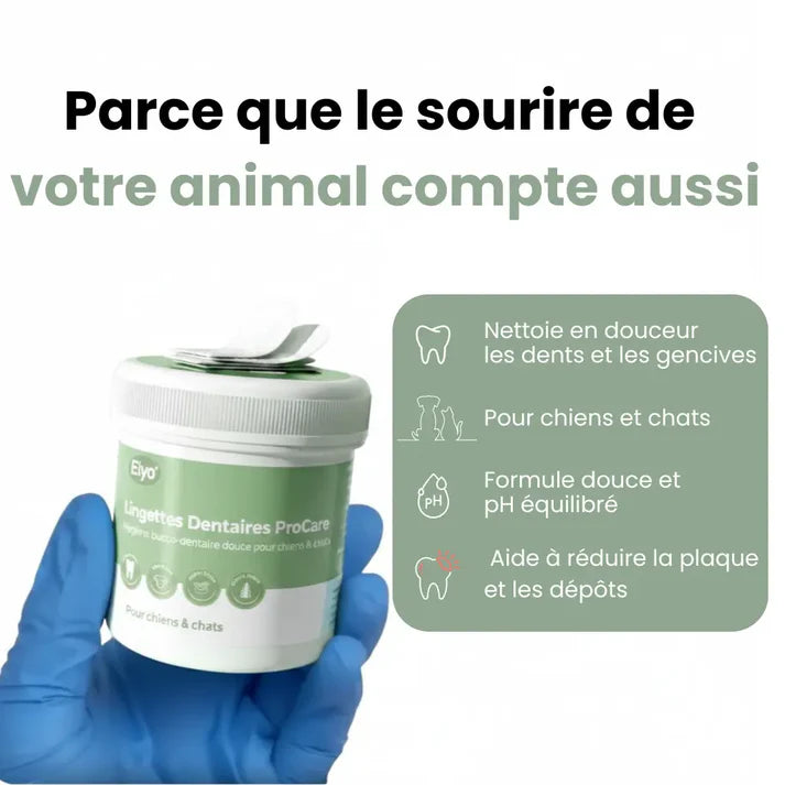 Salviette dentali ProCare