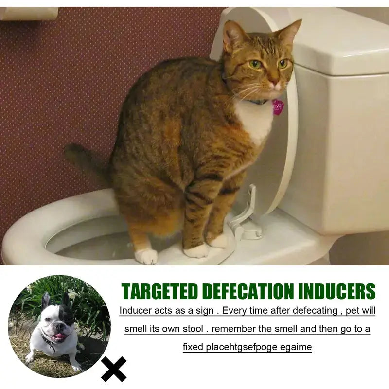 Facilita Addestramento Toilette Sistema Completo per Cani e Gatti