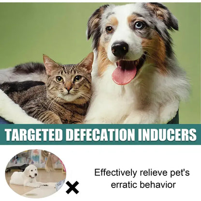 Facilita Addestramento Toilette Sistema Completo per Cani e Gatti