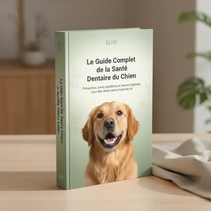 Salviette dentali ProCare