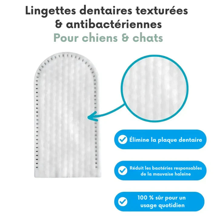 Salviette dentali ProCare
