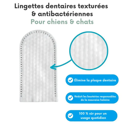 Salviette dentali ProCare