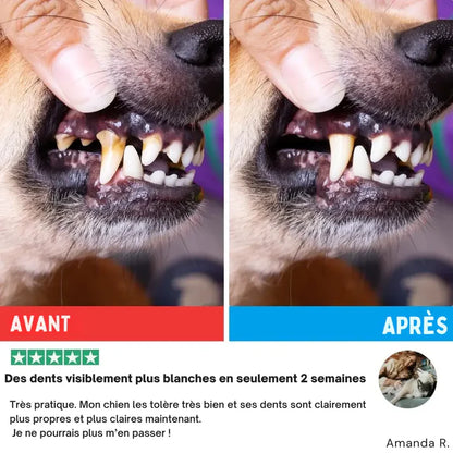 Salviette dentali ProCare