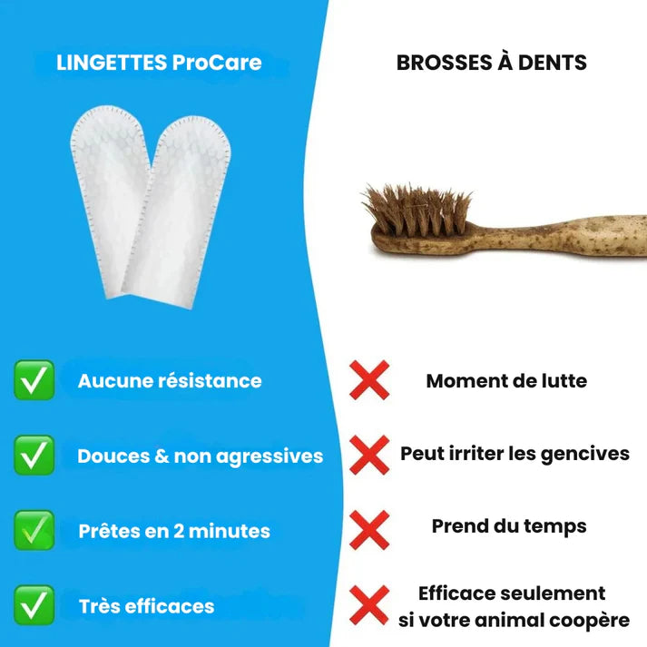 Salviette dentali ProCare
