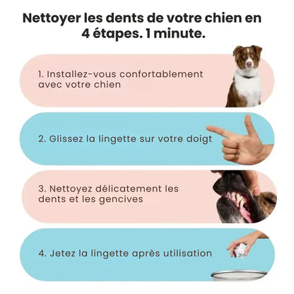 Salviette dentali ProCare